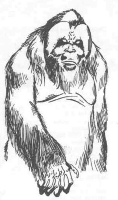 Barlgura (Monster Manual II 1st Edition, 1983)